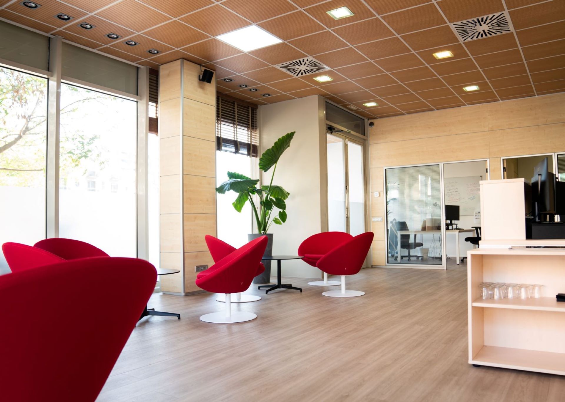 Coworking at Max Ventures: Boost Your Productivity and Mental Health